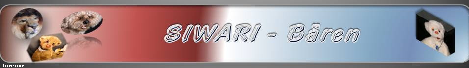Loremir